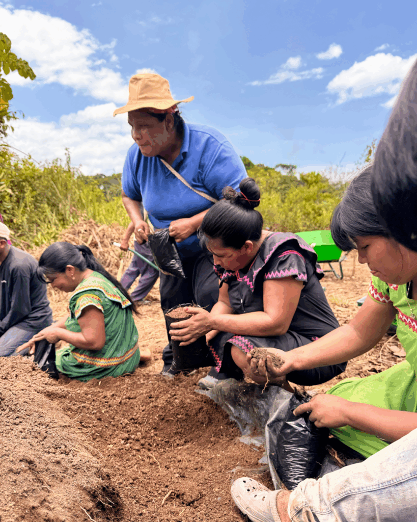  Descubre los avances de abril en salud materna, agricultura, empoderamiento femenino y atención al adulto mayor en la Comarca Ngäbe-Buglé. Sé parte del cambio.