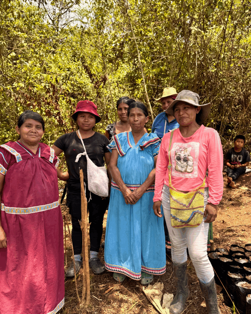  Descubre los avances de abril en salud materna, agricultura, empoderamiento femenino y atención al adulto mayor en la Comarca Ngäbe-Buglé. Sé parte del cambio.