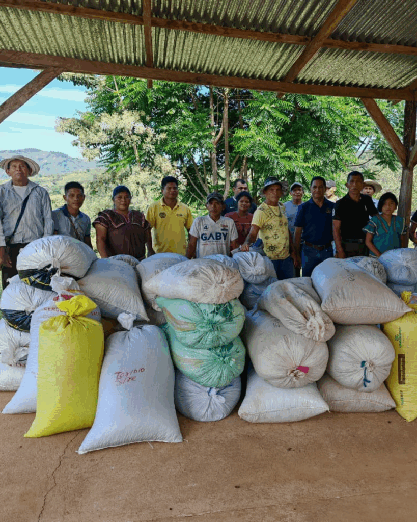  Descubre los avances de abril en salud materna, agricultura, empoderamiento femenino y atención al adulto mayor en la Comarca Ngäbe-Buglé. Sé parte del cambio.